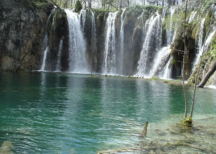 Magic View * זאדאר