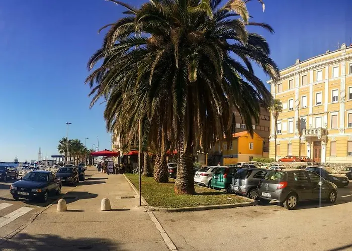 Magic View זאדאר